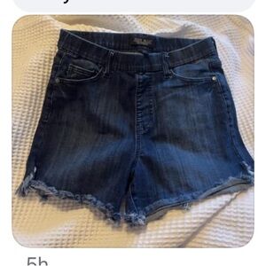 Judy Blue Denim Shorts